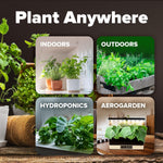 20 Heirloom Vegetable Seeds - 10,000+ Survival Seeds and Emergency Prepper Gear - Non GMO Vegetable Seeds for Planting Home Garden Variety Pack