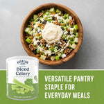 Dehydrated Diced Celery Emergency Food Supply, 73 Servings, 25 Year Shelf Life, Great for Cooking and Snacks - Dehydrated Meals, Survival Food Camping Essentials Can