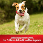 Sulfodene 3 Way Ointment