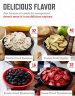 Emergency Food Supply - 120 Servings Fruit Bucket, Nutritious Meals, Dehydrated & Freeze Dried Food for Backpacking, Camping Essentials & Disaster Prepping Supplies, up to 25 Year Shelf Life