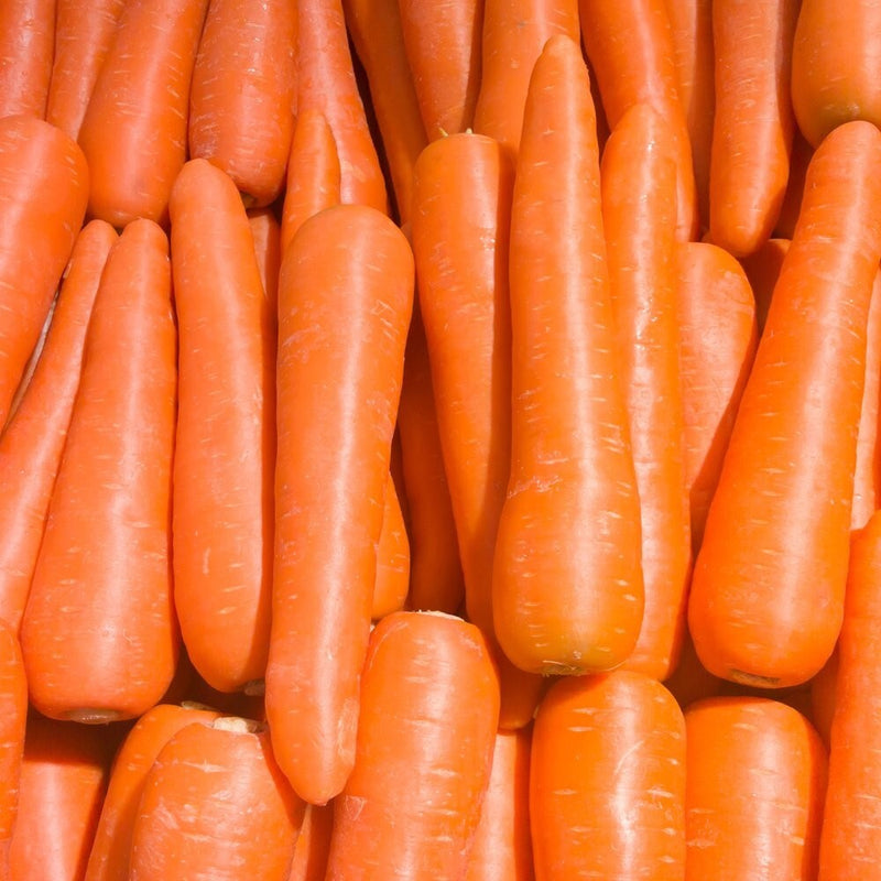 Brilliance Carrot Seeds | NON-GMO | Heirloom | Fresh Vegetable Seeds