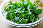 Seeds Vegetable Garden Cress Lettuce Brodleaf - 400 Seeds