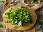 Seeds Vegetable Garden Cress Lettuce Brodleaf - 400 Seeds