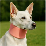 Dog Anti-Lick & Anti-Bite Protective Collar - Soft Recovery Neck Shield for Wound Care