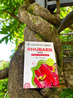 Rhubarb Seeds 50+ Seeds Garden Rhubarb Rheum Rhabarbarum Garden Vegetables Seeds