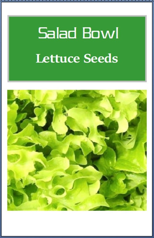 Salad Bowl Lettuce Seeds | NON-GMO Lettuce Seeds | Fresh Heirloom Garden Seeds