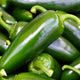 Tam Jalapeno Pepper Seeds - Non-GMO Heirloom