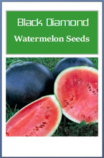 Black Diamond Watermelon Seeds | NON-GMO Watermelon Seeds | Heirloom Seeds