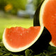 Sugar Baby Watermelon Seeds - Non-GMO Heirloom