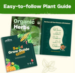 Lush&Dew Year-Round USDA Zone 7 Seed Bank, Gift for Mom Dad, 32 Varieties Non-Gmo Heirloom Seeds of Vegetables Flowers, Gardening Gifts for Women Men, Survival Kit for Raised Garden Bed Greenhouse