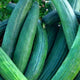 Metki Cucumber Seeds - Non-GMO Heirloom