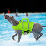 Dog Life Jacket,Dog Life Vest for Swimming,Xs Dog Swim Vest,Lightweigth Adjustable Reflective Puppy Pet Float Life Preserver Vest with Back Zip,Rescue Handle,Metal Hook (Green XS)
