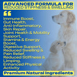 Yeast-Infection-Treatment for Dogs – Soothing Itchy Skin, Ears & Paws – Natural Relief with Omega-3, Collagen, PAU D’Arco & Apple Cider Vinegar – Dog Yeast-Infection Support Chews