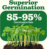 55 Variety Survival Seed Vault 28,000+ Heirloom Non-Gmo Vegetable Seeds for Planting, High Germination, Emergency Food Supply,Year-Round Garden Starter Kit,Gift for Gardeners