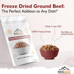 Freeze-Dried Ground Beef – Pre-Cooked and Ready-To-Eat Hamburger Meat | Everyday Meal Prep, Emergency Food Supply, Camping and Survival Food | 10 Servings per Pouch | Made in USA | 7-Year Shelf Life | Pack of 1
