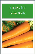 Imperator Carrot Seeds | Heirloom Carrot Seeds | Fresh NON-GMO Garden Seeds