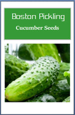 Boston Pickling Cucumber Seeds | NON-GMO Cucumber Seeds | Heirloom Garden Seeds