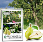 Common Pear Tree Seeds, 30 Seeds per Packet, , Non GMO & Heirloom Seeds, Pyrus Communis, Great Home Garden Gift, Fruit Producing Tree
